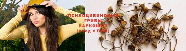 эйфоретик Козельск