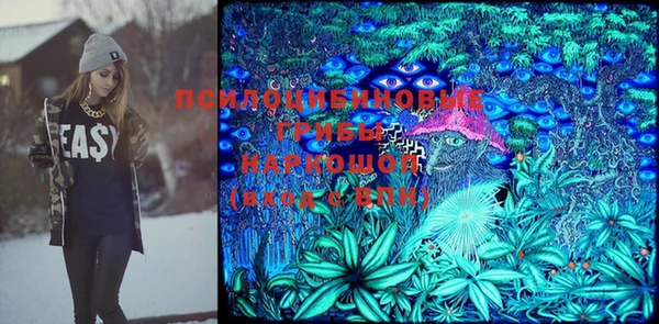 мяу мяу мука Арсеньев