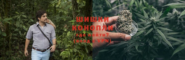 PSILOCYBIN Майский