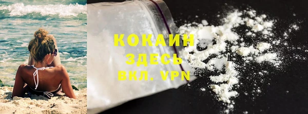 PSILOCYBIN Майский