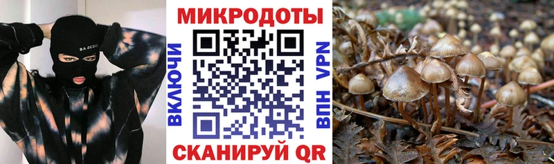 наркошоп  Юрюзань  Галлюциногенные грибы мицелий 